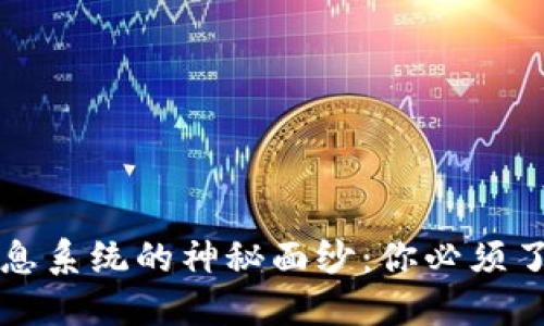 揭开区块链信息系统的神秘面纱:你必须了解的五大类型