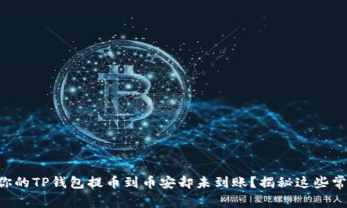 为什么你的TP钱包提币到币安却未到账？揭秘这些常见原因！