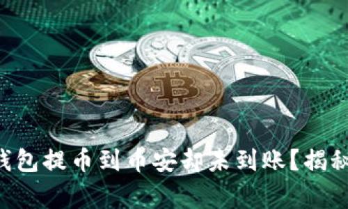 为什么你的TP钱包提币到币安却未到账？揭秘这些常见原因！