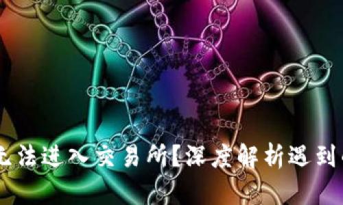 为什么TPWallet无法进入交易所？深度解析遇到的问题与解决方案
