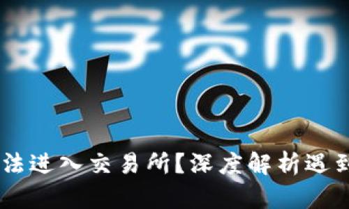 为什么TPWallet无法进入交易所？深度解析遇到的问题与解决方案