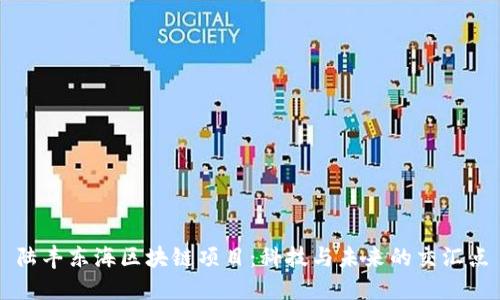 陆丰东海区块链项目:科技与未来的交汇点