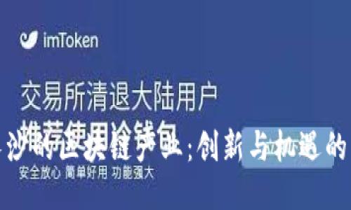 探索长沙的区块链产业：创新与机遇的交汇点
