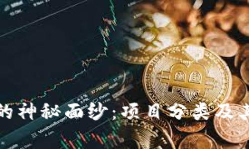 揭开区块链的神秘面纱：项目分类及其背后的故事