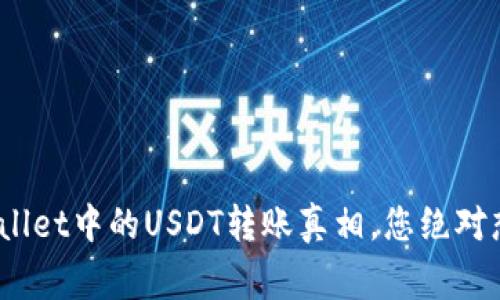揭秘！隐藏在TPWallet中的USDT转账真相，您绝对想不到的背后故事