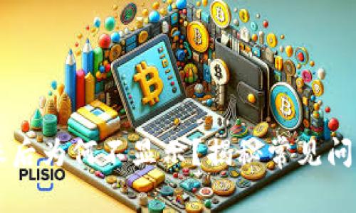 TPWallet转账后为何不显示？揭秘常见问题与解决方案