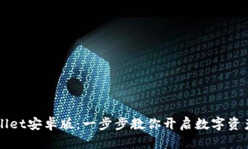 轻松安装TPWallet安卓版：一步步教你开启数字资产管理的新篇章