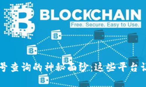 揭开区块链订单号查询的神秘面纱：这些平台让你轻松追踪交易