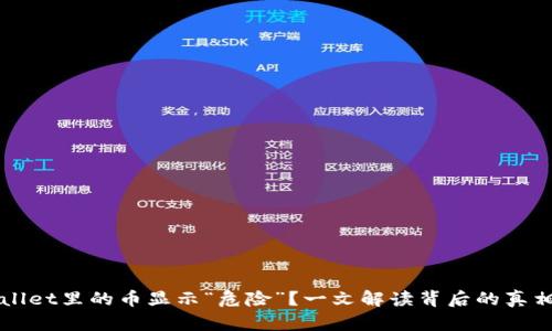 为什么TPWallet里的币显示“危险”？一文解读背后的真相与应对策略