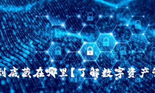 TPWallet的钱到底藏在哪里？了解数字资产管理的背后秘密