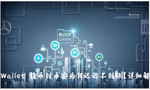 【紧急求助】TPWallet 转币到币安为何迟迟不到账？详细解析与解决方案