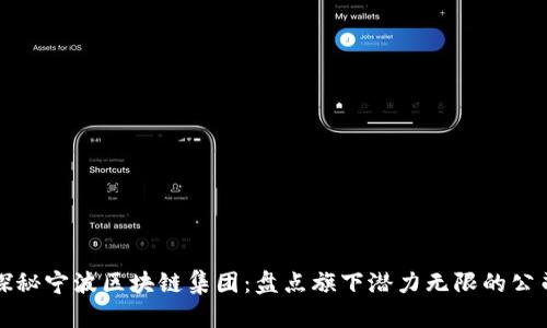 探秘宁波区块链集团:盘点旗下潜力无限的公司