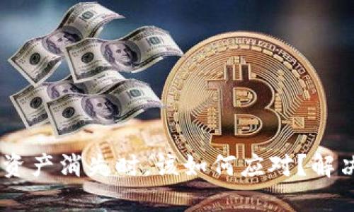 当你的TPWallet资产消失时,该如何应对?解决方案与心路历程