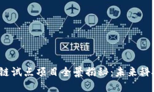 : 上海区块链试点项目全景揭秘:未来科技的先行者!