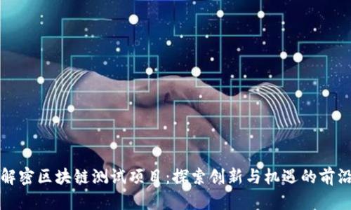 解密区块链测试项目:探索创新与机遇的前沿