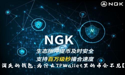 消失的钱包:为什么TPWallet里的币会不见?