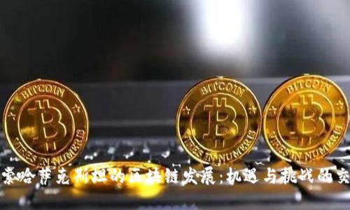 探索哈萨克斯坦的区块链发展:机遇与挑战的交织