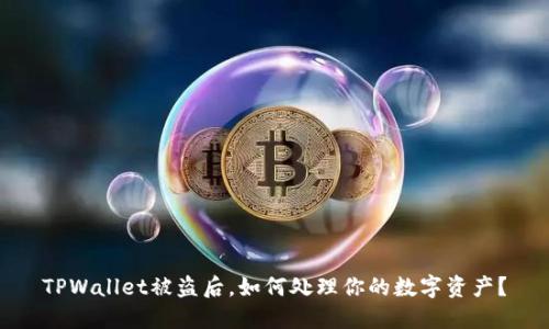 TPWallet被盗后,如何处理你的数字资产?