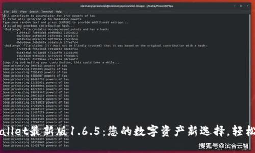 发现TPWallet最新版1.6.5:您的数字资产新选择,轻松管理财富