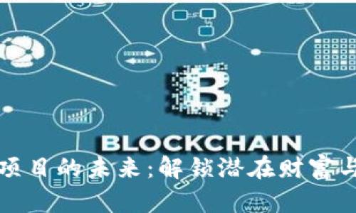 探索区块链投资项目的未来:解锁潜在财富与创新的无限可能