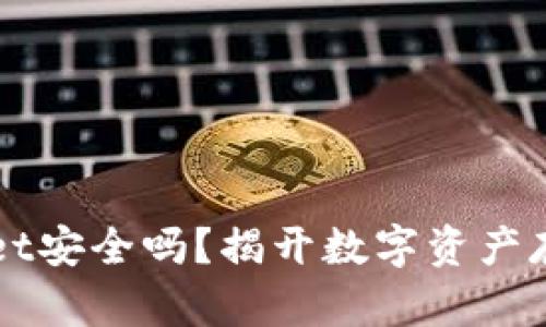 区块链TPWallet安全吗?揭开数字资产存储的神秘面纱