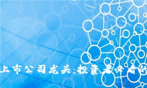 揭秘区块链上市公司龙头:投资者必看的行业领军者