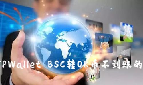如何解决TPWallet BSC转OK币不到账的常见问题?