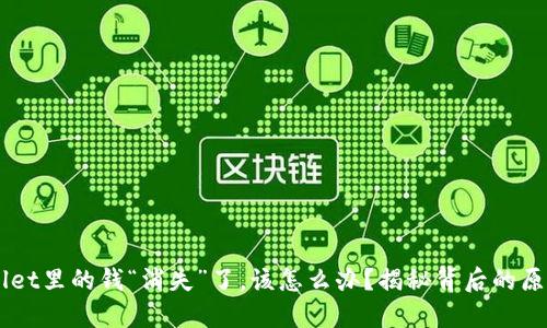 当你的TPWallet里的钱“消失”了，该怎么办？揭秘背后的原因与解决办法