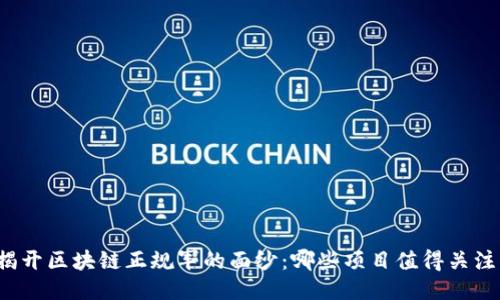 揭开区块链正规军的面纱：哪些项目值得关注？
