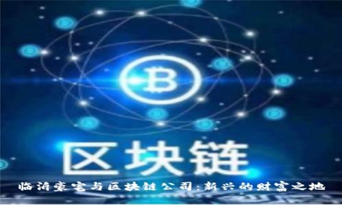 临沂豪宅与区块链公司:新兴的财富之地