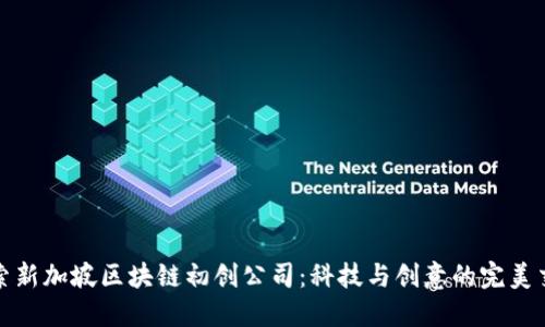 探索新加坡区块链初创公司:科技与创意的完美交汇