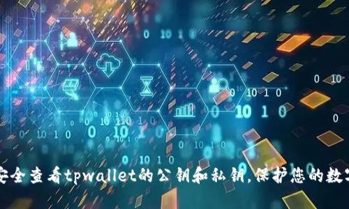 如何安全查看tpwallet的公钥和私钥,保护您的数字资产