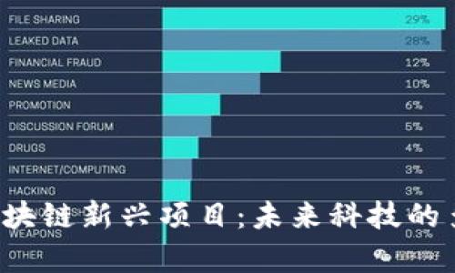 揭秘2023年区块链新兴项目：未来科技的多样化崭露头角