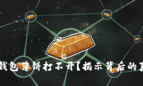 为什么你的TP钱包薄饼打不开?揭示背后的真相与解决方案