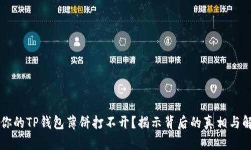 为什么你的TP钱包薄饼打不开?揭示背后的真相与解决方案