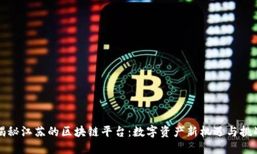 揭秘江苏的区块链平台：数字资产新机遇与挑战