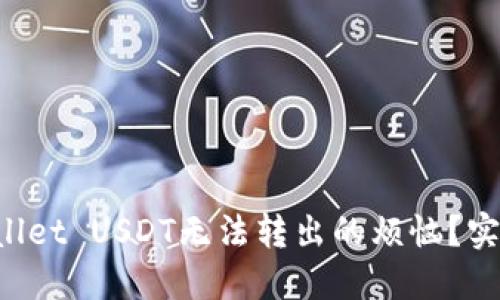 如何解决TPWallet USDT无法转出的烦恼?实用技巧大分享!