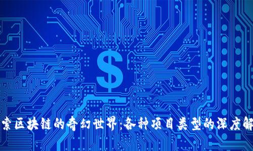 探索区块链的奇幻世界:各种项目类型的深度解析